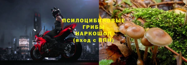 прущая мука Абдулино
