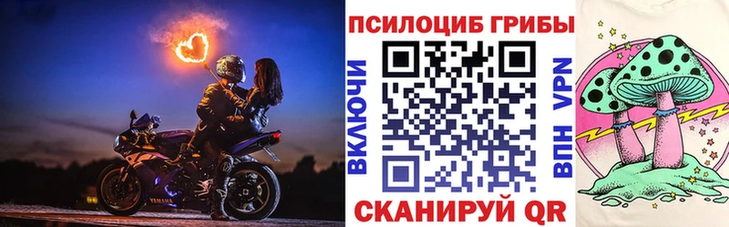 Галлюциногенные грибы Cubensis Костерёво